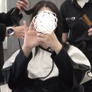 보라헤어샵 - 안양시 동안구 관평로313번길 58 | 마곡 미용실 무제헤어샵 자연스러운 새치 커버 브라운 염색 추천후기