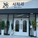 시저리서신