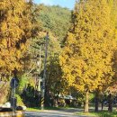 마하공인중개사사무소 이미지