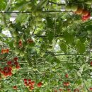 경재농장 이미지