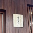 인생족발 - 안양시 만안구 석수로16번길 68 | [분당] 윤밀원 | 블루리본도 인정한 분당 족발 맛집, 인생 족발🐷 (테이블링 후기 포함)