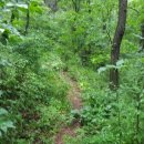 사나사주차장 이미지