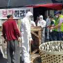 성남축산 이미지