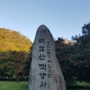 5년만에 내장산과의 만남(1) 이미지