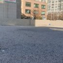 신호동 강서구 부산 네이버블로그