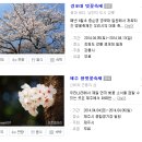2015 봄꽃 개화시기 & 각지역 벚꽃축제 시기 이미지