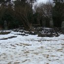 돌하르방미술관 이미지