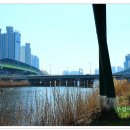 갈맷길8-2 이미지