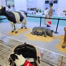 용주축산 이미지