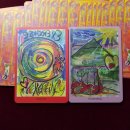 와글팝 | 반려견 펫타로 후기 :) 모찌의 마음 알아보기!