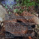 황제능이버섯백숙 이미지