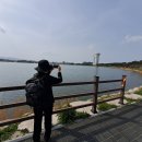 해파랑길 39코스 바우길 05구간 이미지