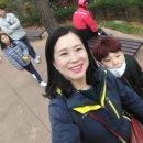 은어송초등학교/은어송유치원 | #여행에반하다#대통령 별장#청남대#국화축제[직접 다녀온 생생 후기]