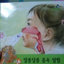 알쏭달쏭 과학교실 이미지