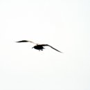 365소아청소년과의원 이미지