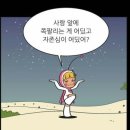 충주종합운동장 | 2026 충주 다이브 페스티벌 ( 작년 다이브 추억 회상 )