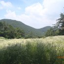 투구봉쉼터 이미지