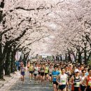 도요새어린이공원 | 한눈에 보는 걷기·러닝 2026년1월5일