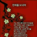 세요 티스토리