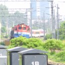 H1463 이미지