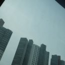 해피바스 시카 진정 선미스트&amp;수분 선크림 실사용 후기
