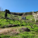 세동농장 이미지