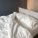 제주푸른호텔 | 제주도 서귀포 숙소 가성비 오션뷰 호텔 제주푸른호텔