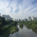 그린메디의원 이미지