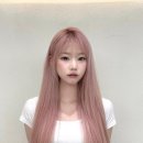 어뮤트 네이버블로그