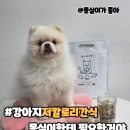 마시찌멍 이미지