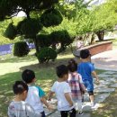 YMCA 어린이집 이미지