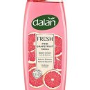 워시워시 이미지