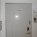 사파동239 이미지