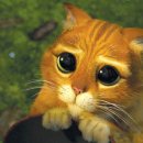 국민은행 온양점 앞 이미지