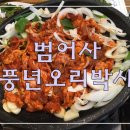 오리박사 이미지