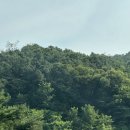 미친 프로참석러의 삶