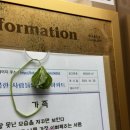 시한부 배짱이 등장!