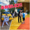 우리나라 태권도 이미지