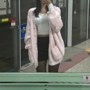 Dress up PUPPY(드레스 업 퍼피) | 2023 연말결산 잘산템 모음zip