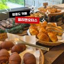 빌리리조트 | 영종도 대형카페 추천, 숲속 감성 가득한 빌리앤오티스 후기 feat. 내돈내산