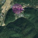 치유의숲 진입도로 이미지