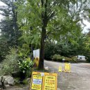 금원수목원수영장 | 경기광주가볼만한곳 당일치기 캠핑 금원수목원수영장 솔직후기