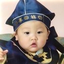 굴보쌈골목 네이버블로그