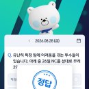 신한 SOL 퀴즈 - 답 임찬규 이미지