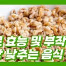 파로 효능 및 부작용 혈당 낮추는 음식 추천 이미지