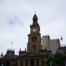 로얄피시 이미지