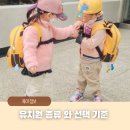 공립 사립 유치원 종류와 엄마가 선택 기준은 어떻게