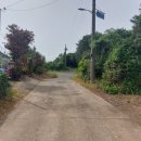 온평리-8 이미지