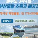 제주색동