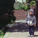 후지FDI 네이버블로그